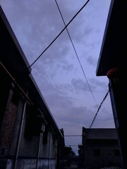 111519