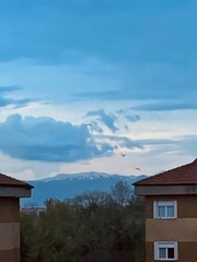 59228F42-44BF-4575-85C3-5307D7072349/L0/001