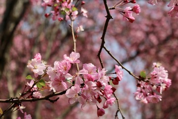 9F4F32D5-559E-4404-986F-958E8D53C31E/L0/001