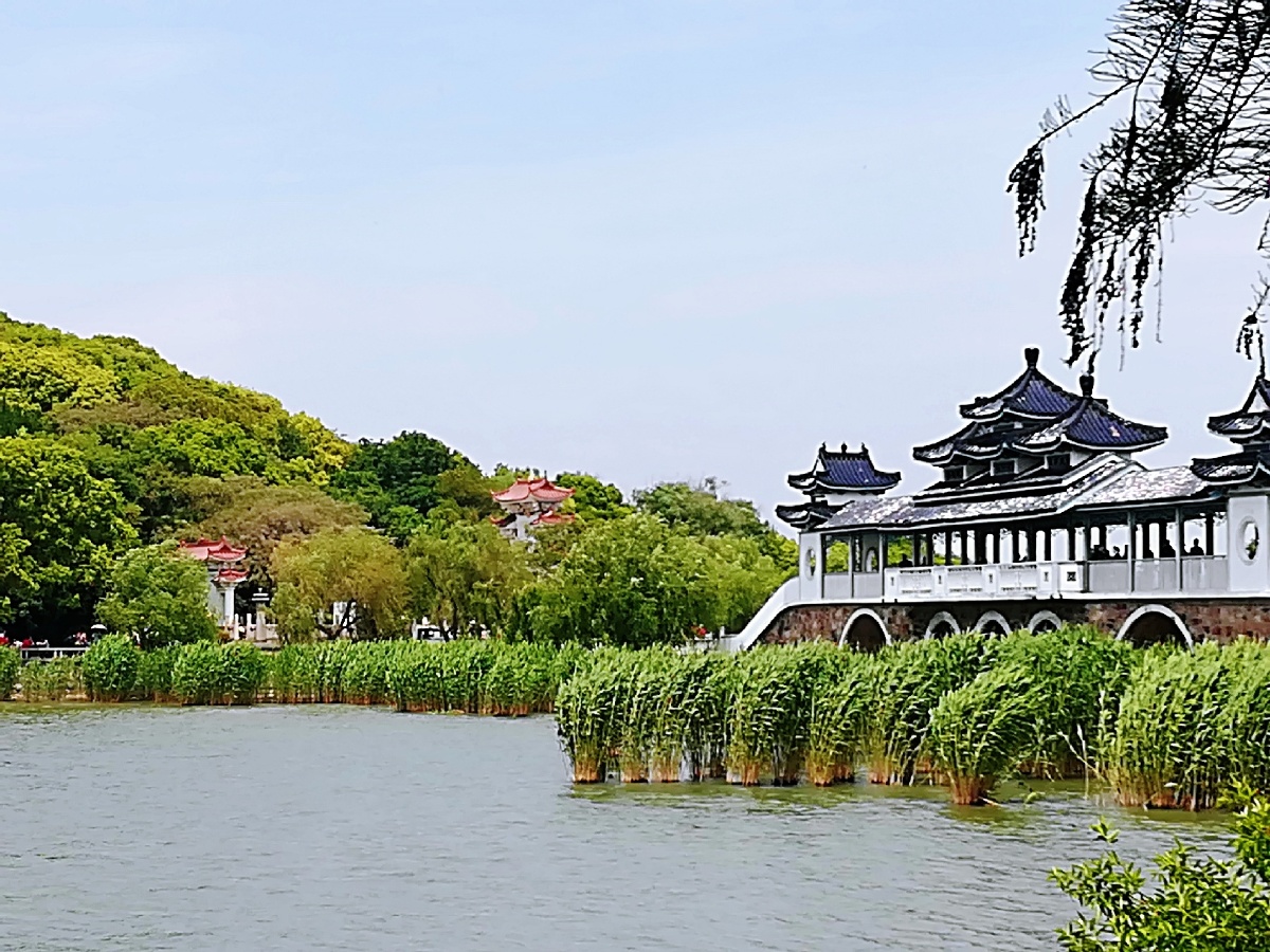 太湖鼋头渚风景区 - 冬雪傲梅164900087401633 - 图虫