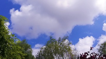 1570362