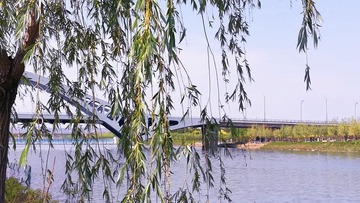 1569264