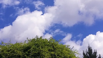1570386
