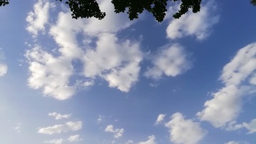 1590054