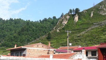 1638593