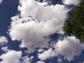 1590523