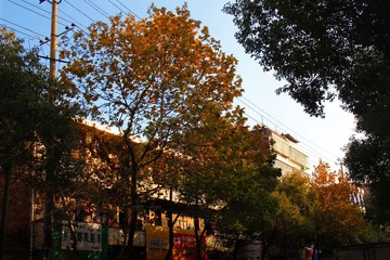IMG_2402_
