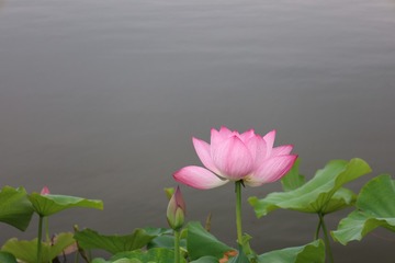8098D73E-6A38-4357-B9D7-EAE0B3587C08/L0/001