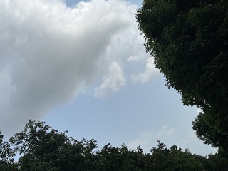 58D9C884-80C7-4B29-80A0-FA3D4FF3D31C/L0/001