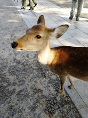 140104