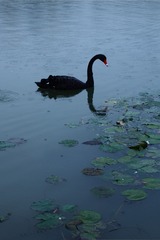 17079671-F33F-4084-B08C-FAA399B1B9AB/L0/001