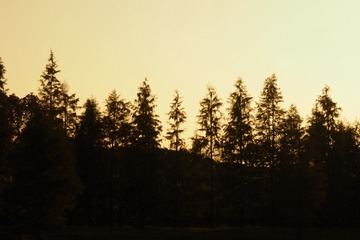 C8F00F1D-B526-4460-844E-90943434E9E3/L0/001