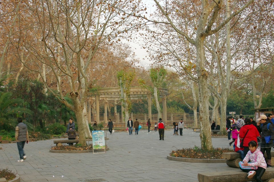 场景<br />
