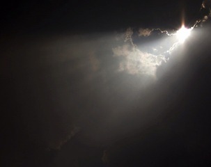 IMGP4037111111.jpg