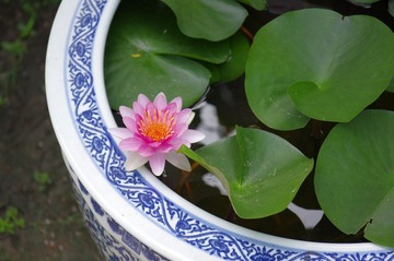IMGP3801.jpg