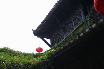 IMGP2585.jpg