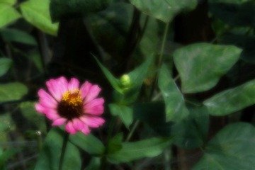 IMGP2562.JPG
