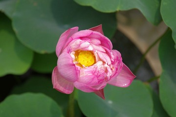 IMGP3923.jpg
