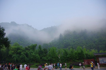 IMGP2969.jpg