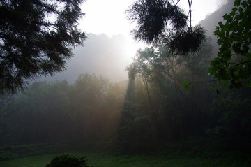 IMGP2976.jpg