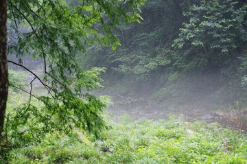 IMGP3074.jpg