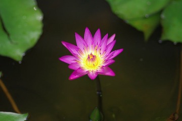IMGP0504.JPG