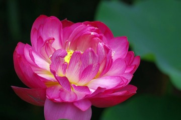 IMGP0474.JPG