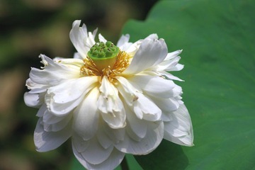 IMGP0495.JPG
