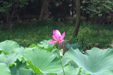IMGP0538.JPG