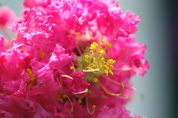 IMGP0532.JPG