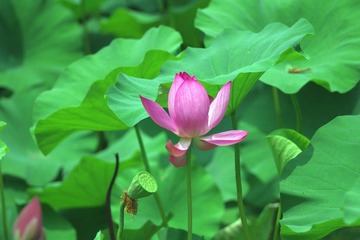 IMGP0535.JPG