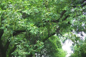 IMGP0583.JPG