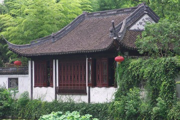 IMGP0564.JPG