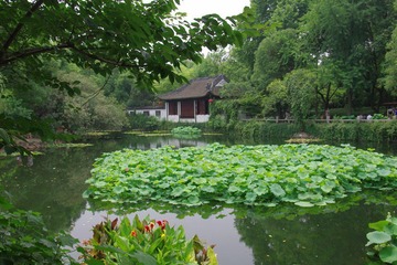IMGP0565.JPG