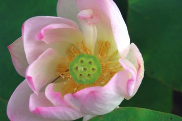 IMGP0568.JPG
