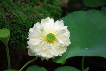 IMGP0585.JPG