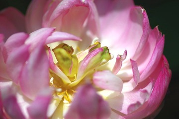IMGP0628.JPG
