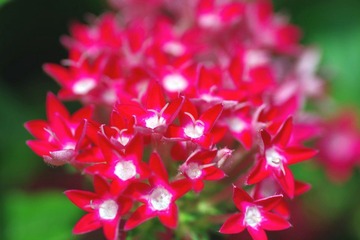 IMGP0631.JPG