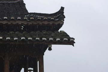 IMGP1159大雨哦~~防水相机加防水百薇表示毫无鸭梨~~.JPG