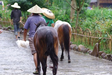IMGP1227大家快来拍马屁~~.JPG