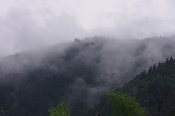 IMGP1231雾气.JPG