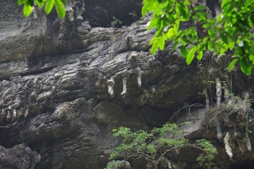IMGP1483钟乳石？.JPG