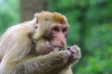 IMGP1810吃吃东西，看看游人~~.JPG