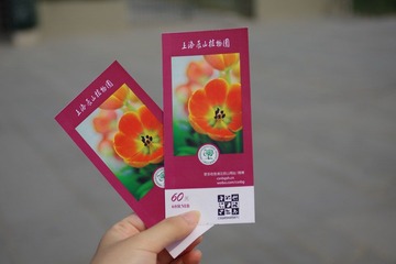 IMGP8460.JPG