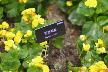 IMGP8494.JPG