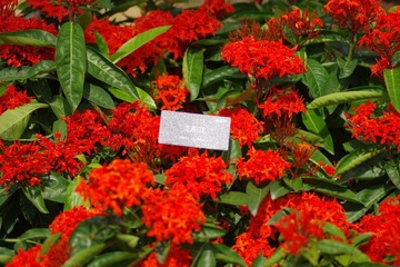IMGP8495.JPG