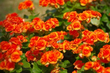 IMGP8497.JPG