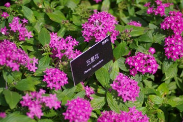 IMGP8503.JPG