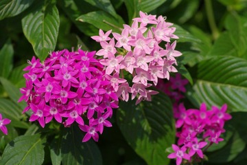 IMGP8505.JPG