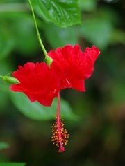 IMGP8527.JPG